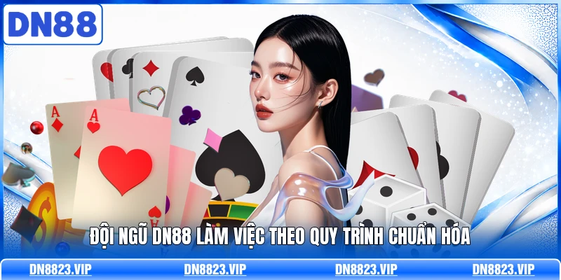 Đội ngũ DN88 làm việc theo quy trình chuẩn hóa